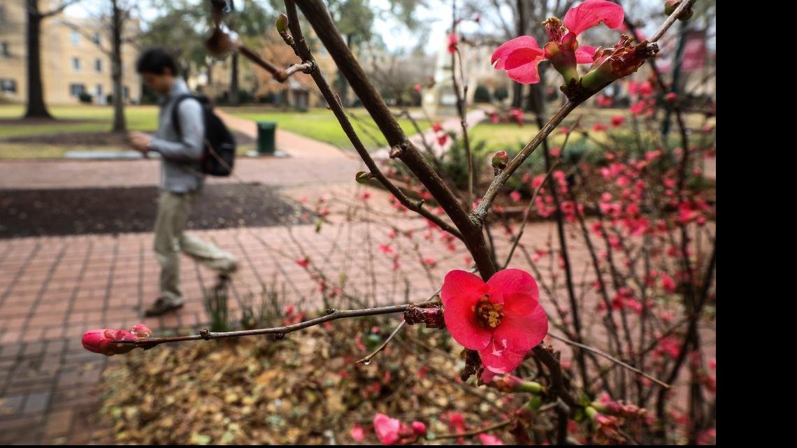 The Horseshoe historic center of USC campus