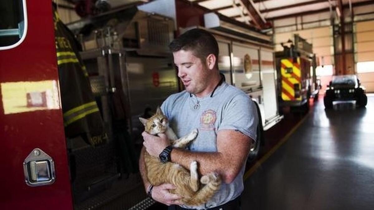 Jordan Lide carries Flame at the Belmont Fire Station.