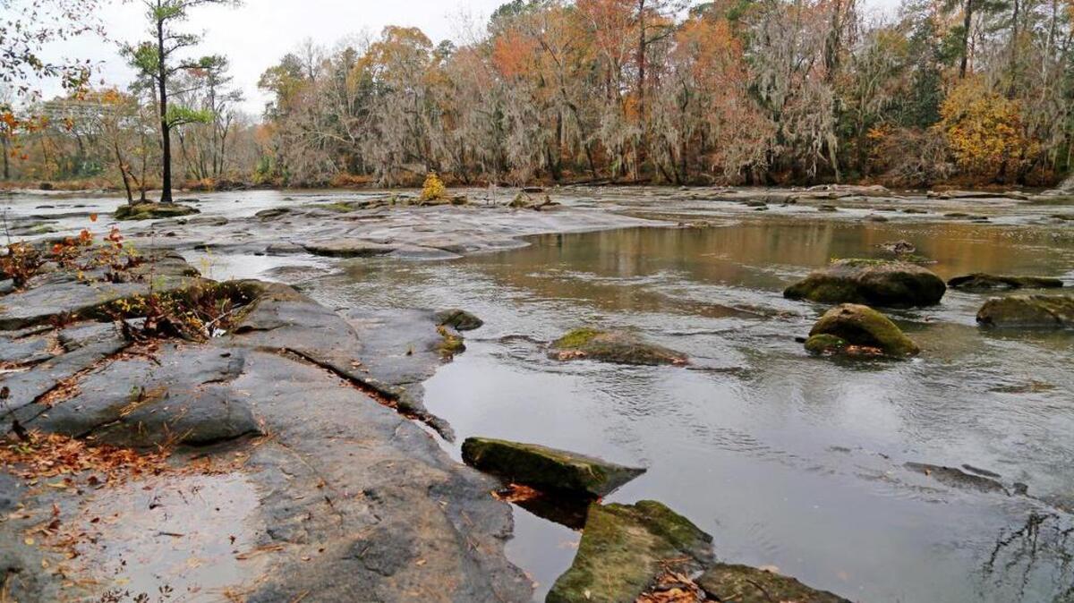 A scenic view along the Saluda River. The City of Columbia is set to officially open the gates for the Saluda Riverwalk, a three mile long section of the Three Rivers Greenway.