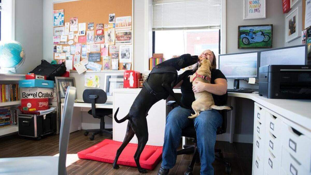 Melissa Halliburton, founder and CEO of BringFido, gets kisses from her dogs Ace and Roxy in her office.