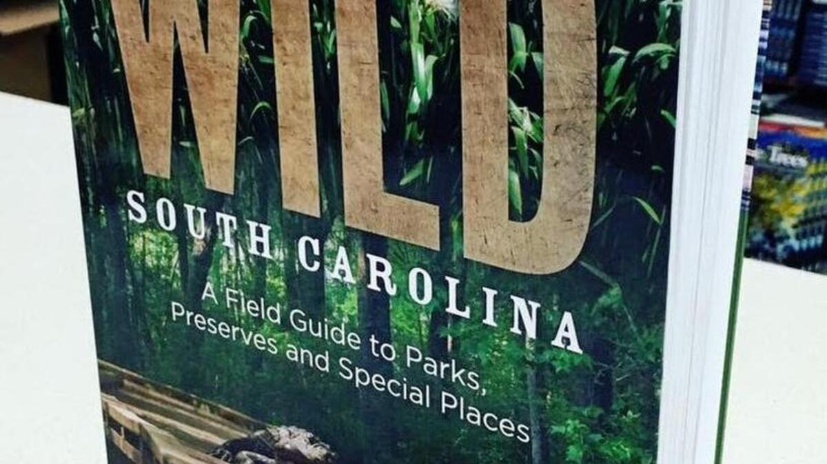 This book made multiple lists of recommendations from local librarians and book sellers.