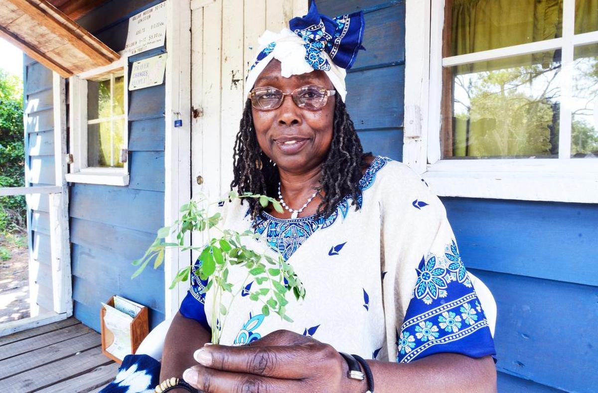 Louise Cohen, founder of the Gullah Museum of Hilton Head Island, holds a sprig of indigo. The museum is growing a patch of the plant, which is used to make a blue dye, as one of its exhibits.