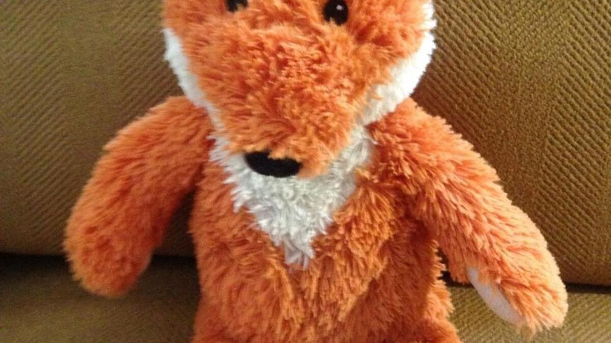 The rescued fox, after being washed and getting some new stuffing.