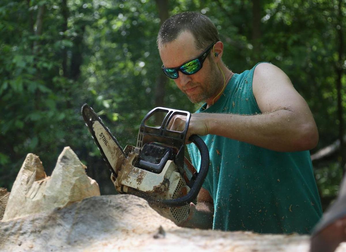 Wade Geddings uses a chainsaw to carve animal sculptures in fallen timber at the Cayce Riverwalk.
