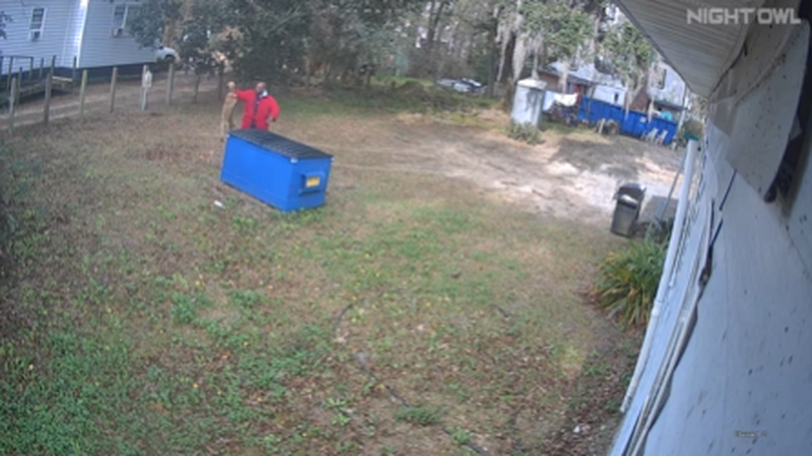 Video shows a South Carolina man grabbing the coyote and putting it in a dumpster.