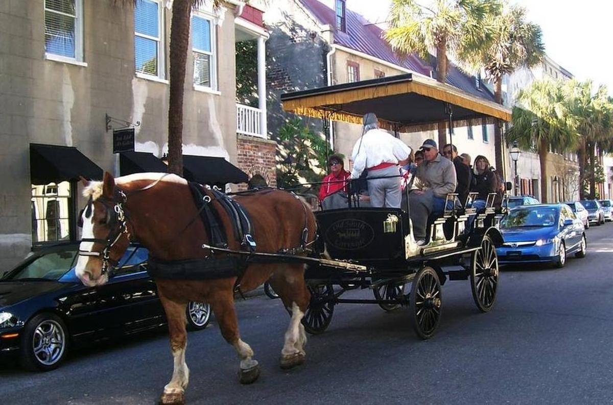 Horse carriage guided tours are one of many favorite tourist attractions in Charleston.