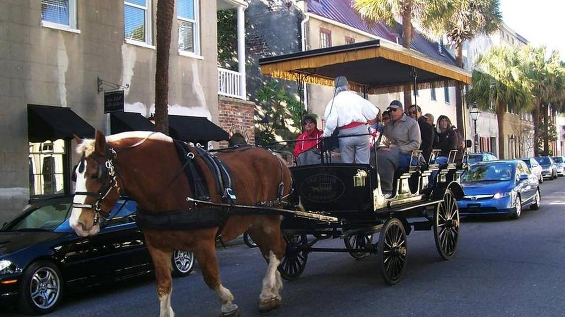 Horse carriage guided tours are one of many favorite tourist attractions in Charleston.