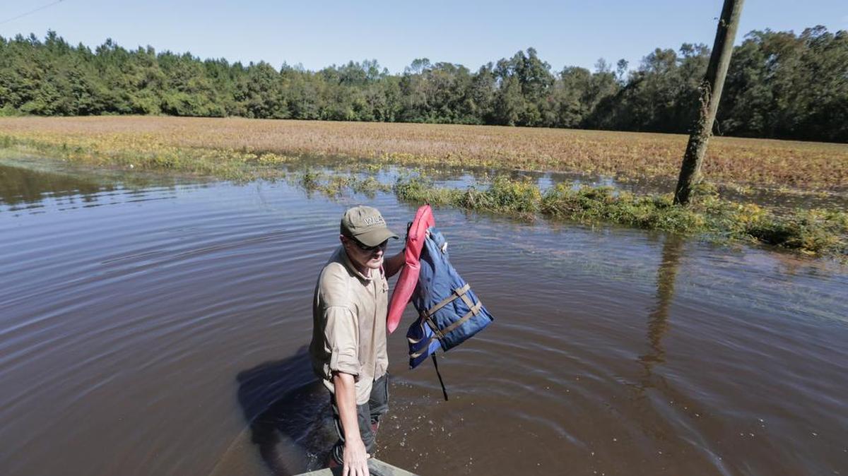A flooded soy bean field in the Fork Retch Community October 11, 2016. Hurricane Matthew left homes beneath 17 feet of water in the Pee Dee region, particularly in the towns of Mullins and Nichols.