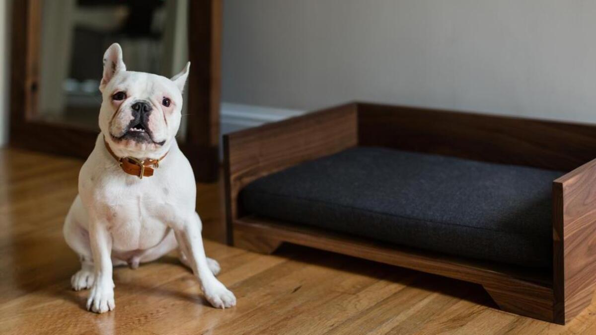 Bricker & Bark’s Frye high-back handcrafted dog bed.