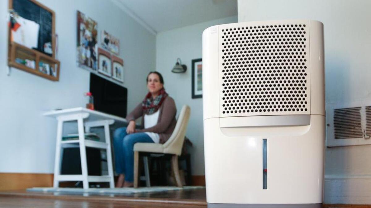 Flooding in Columbia has caused a problem with mold in the home of Ashely and Chris Essig and their four children. Running a dehumidifier day and night has kept the humidity level low enough in the house to prevent further growth of mold.