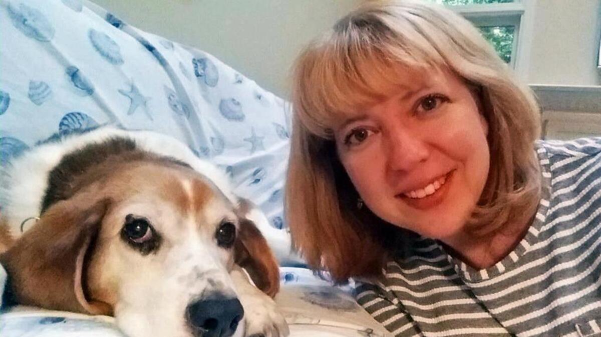 
This Aug. 9, 2015 self-portrait shows Michele Saltzman of Bedford, Mass., and Lucas, a 10-year-old beagle she adopted in October, 2014, from a shelter in Vermont. Because Lucas has a heart murmur and fainting spells, she went online and bought a PetPace health collar, which immediately notifies her about any changes in Lucas' vital signs. A wearable collar can tell an owner when a dog is in pain, something even the dog is sometimes not able to do. It’s just what Saltzman needed for Lucas

