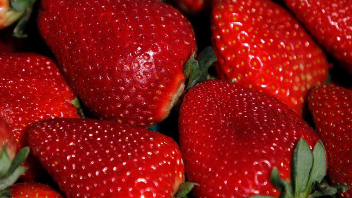 Columbia-area Tropical Smoothie Cafes say they do not use strawberries from Egypt, which are suspected of causing Hepatitis A in other states. No cases have been reported in South Carolina.