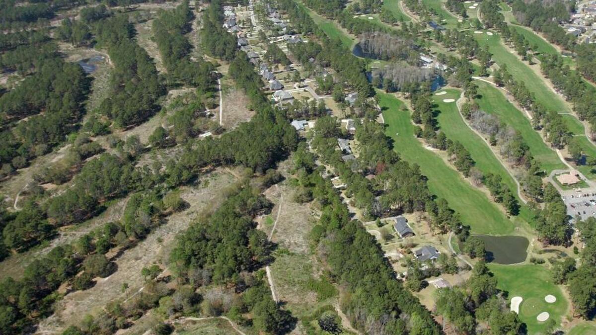 Overgrown fairways at the Bay Tree Plantation Golf Course contrast with Eagle Nest Golf Course, right.