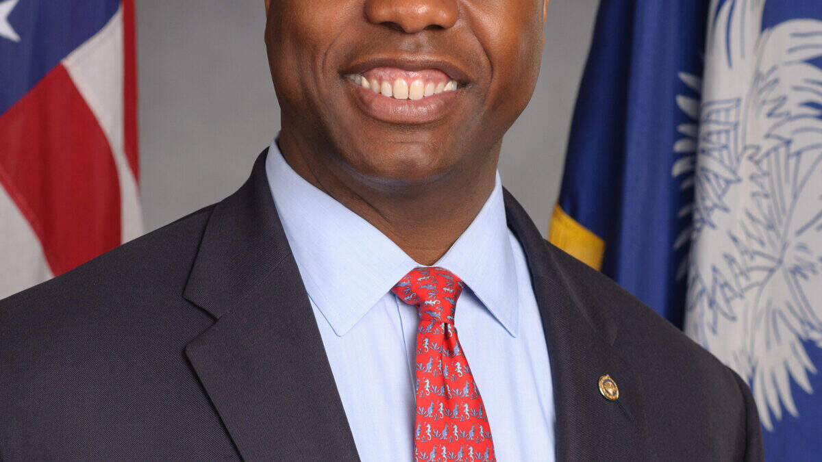 Scott Tim