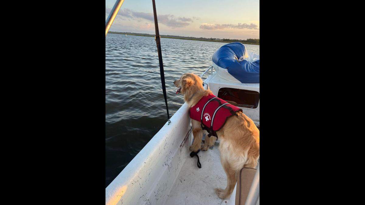 Rocky, seen in this photo taken moments before the South Carolina boat crash, was later found safe.
