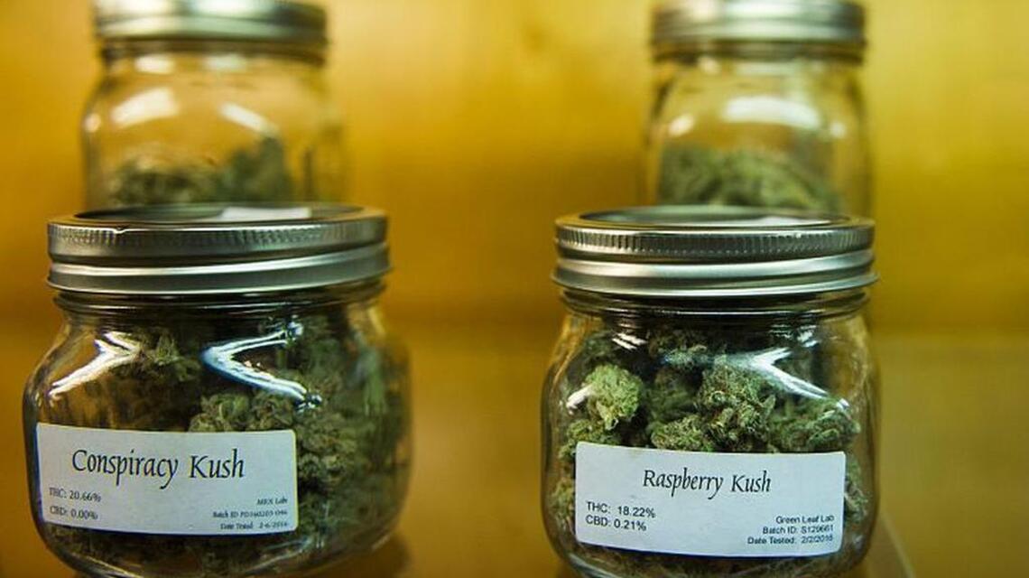 4/20 shows increasingly ‘high’ prevalence of marijuana