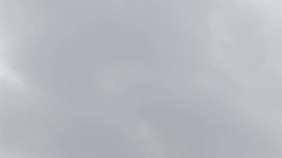 Who is paying lobbyists in SC and how much?