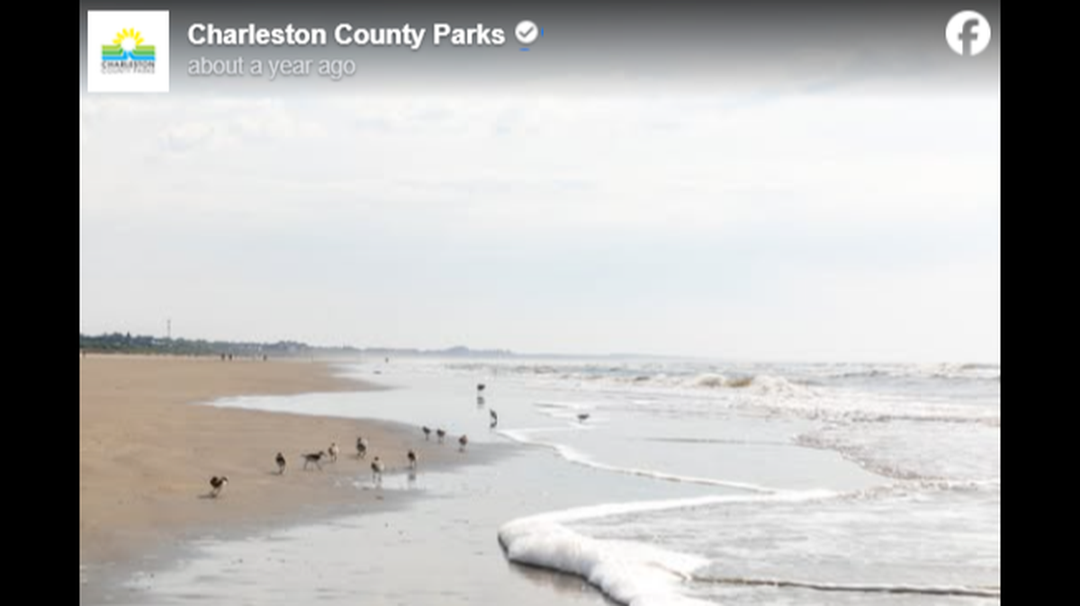 A Charleston-area beach was named one of the nation’s best.