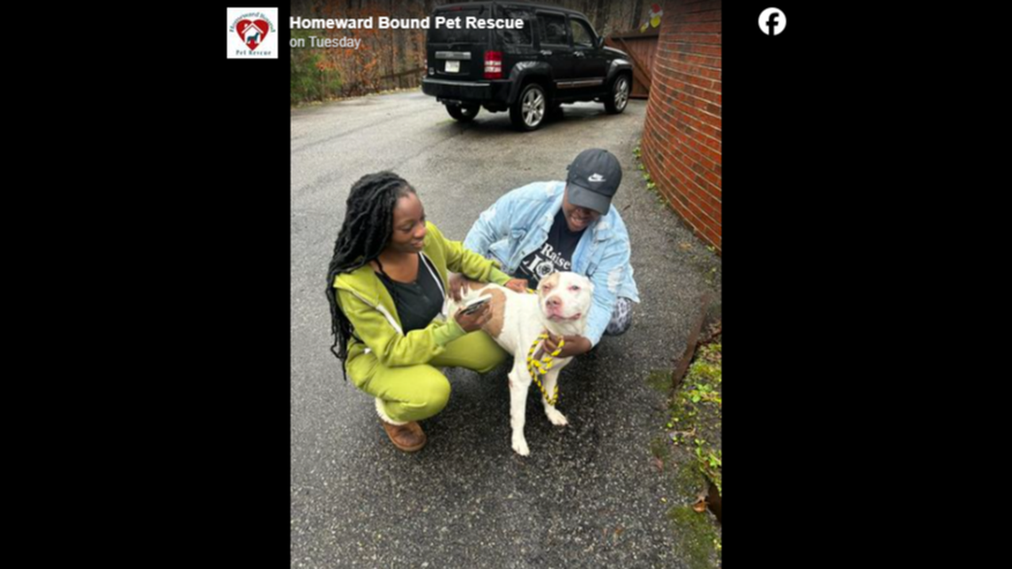 A lost dog reunited with family members weeks after he went missing, a South Carolina animal rescue said.