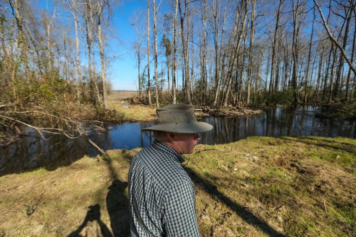 Chuck Wechsler bought a patch of woodlands as a hunting retreat five years ago. Now, the forest that once surrounded his land was gone. Between early December and February, loggers had cleared hundreds of acres nearby, leaving his 44 acres as one of the few wooded spots left along a dirt road in rural Orangeburg County. During the clear-cutting, the creek that ran near his property was re-routed, flooding his land. It was later corrected after an investigation began.
