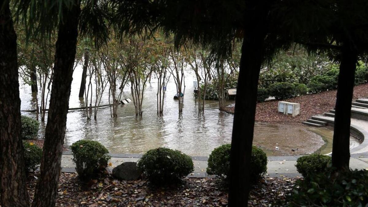 The Congaree River near the Gervais Street bridge overflows its banks on Tuesday.