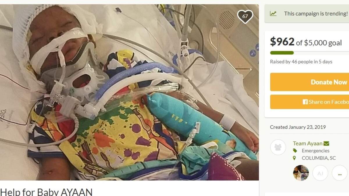 A dog attack left a 3-year-old boy with serious injuries.