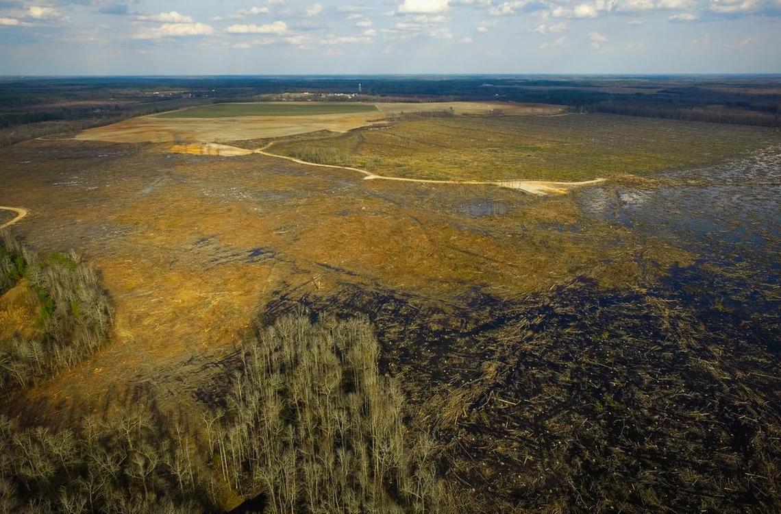 This aerial shows the land outside of Springfield, near the South Fork of the Edisto River, that was forest before loggers cleared it to make room for row crops. This is near Chuck Wechsler's land.