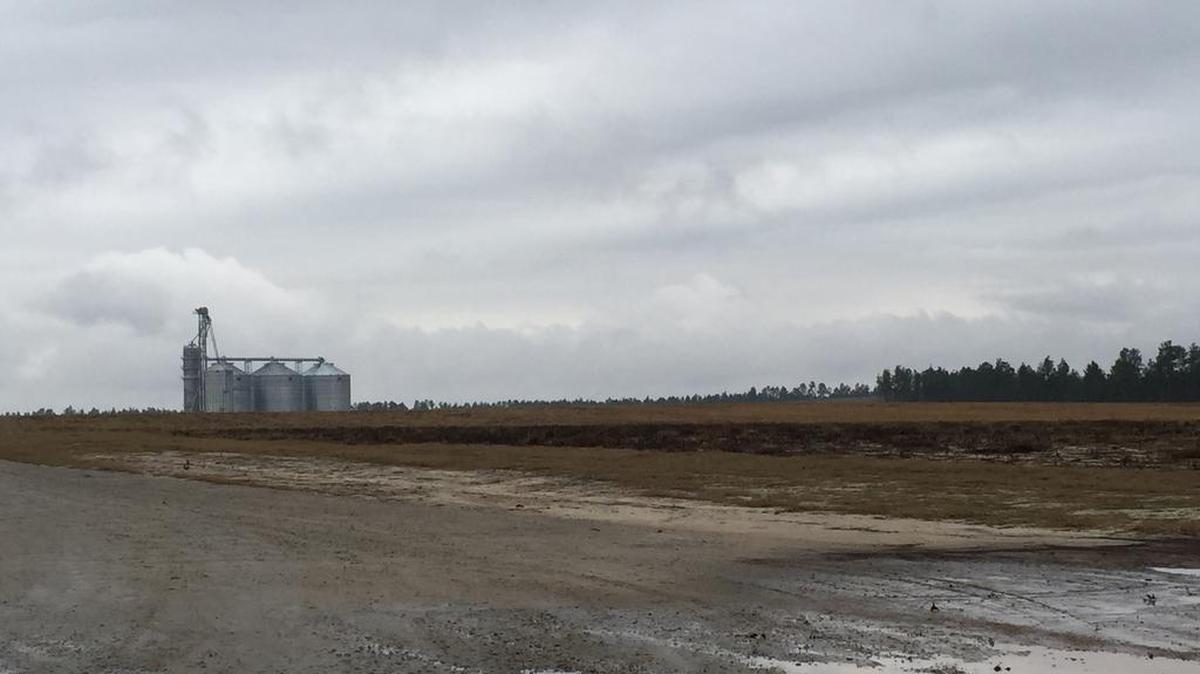 Mega corn farm in rural Aiken County