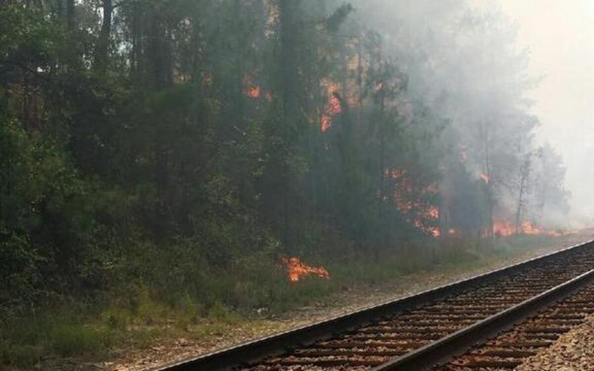 
PROVIDED PHOTO: Woods fire off US 1 in Lugoff, Saturday July 11, 2015
