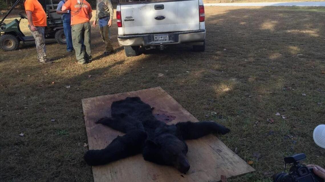 Is bear hunting in SC cruel? Should it be stopped? A reader thinks so