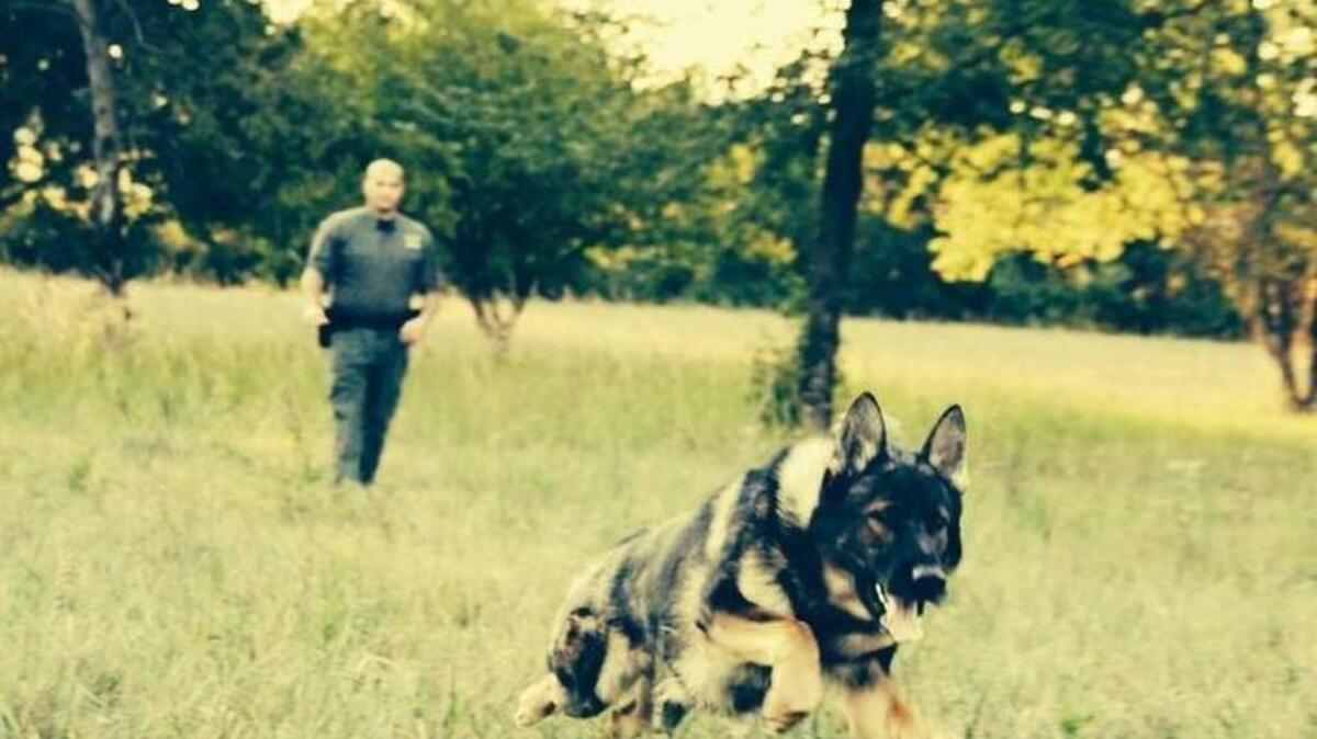 K-9 officer Hyco