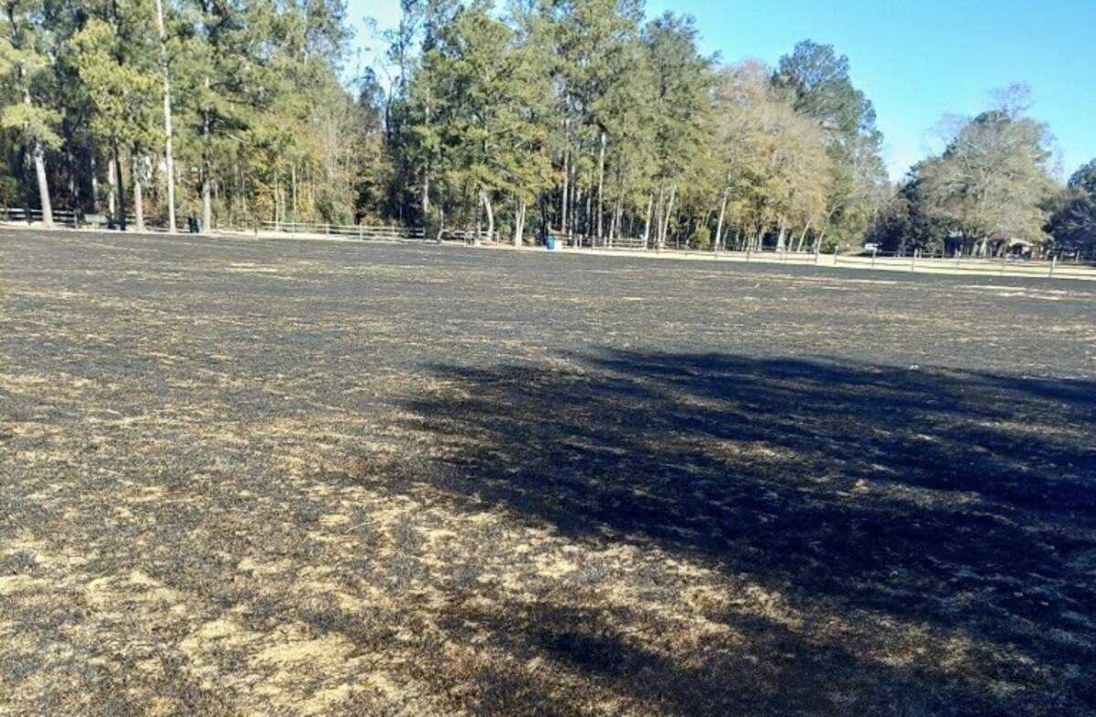 A field at Owens Field Park in Columbia SC was burned on New Years Day, likely by illegal fireworks set off in the park overnight, city officials say. Photo taken 1/4/25.