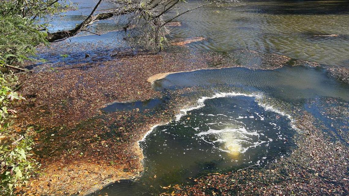 
Bubbling up from a pipe in the Lower Saluda River at Saluda Shoals Park is treated sewage water. Brazilian Eleoda thrives in the nitrogen rich water. South Carolina's effort to enforce environmental laws hasn't stopped companies and government agencies from repeatedly breaking rules to protect the air, land and water during the past two decades. About 25 percent of the 4,600 businesses and governments cited for violating environmental laws since 1991 have done so multiple times, and in some cases, their failures to follow the rules are continuing today, according to civil enforcement records analyzed by The State newspaper. 
