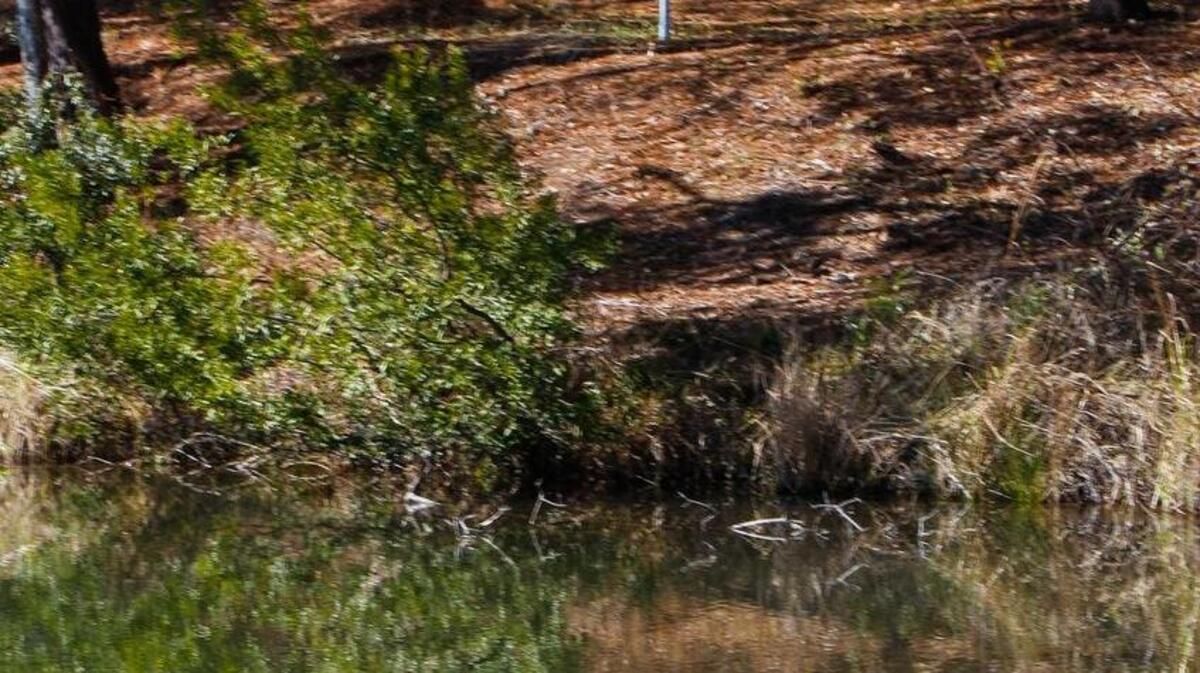 
An image of Southeast Park off of Garners Ferry road in Columbia. 
