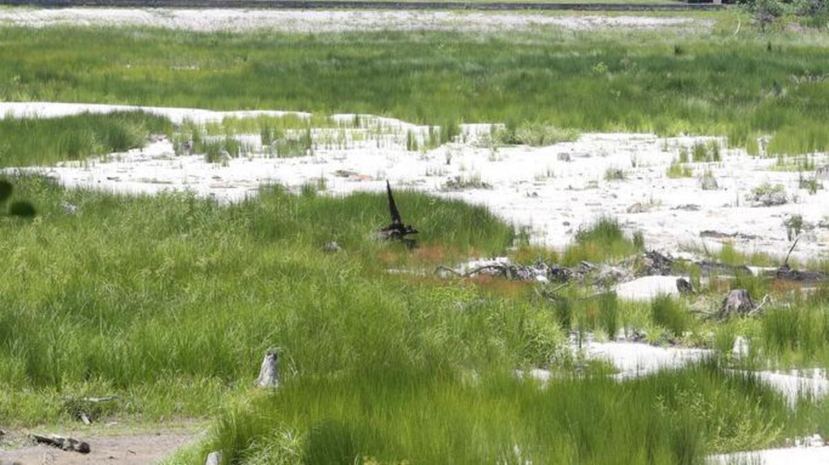 What was once Rockford Lake, formed by damming Gills Creek at Overcreek Road, is now a meandering creek winding its way through a dry lakebed. The dam over Upper Rockford Lake was destroyed during October flooding. Residents in the neighborhood voted whether to pay for repairs through increased property taxes.