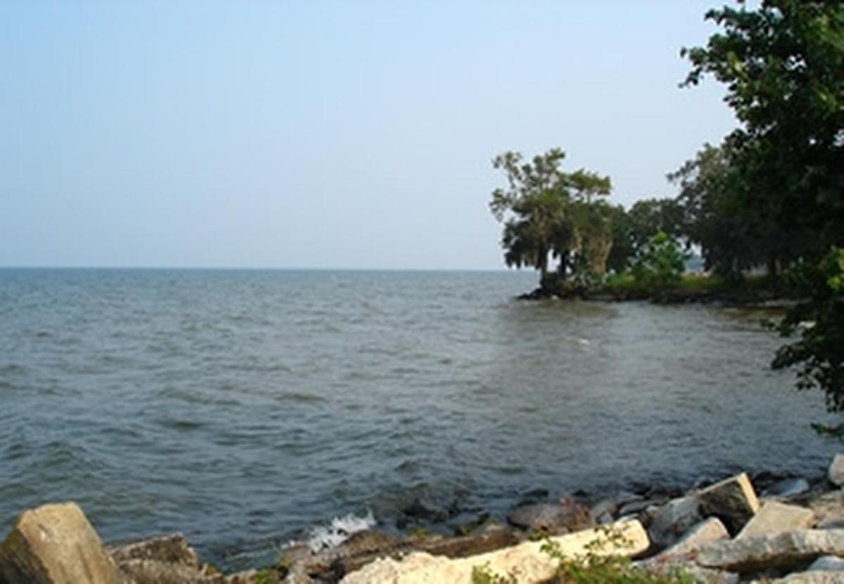 Santee Cooper owns Lake Moultrie and Lake Marion, which were created to start a hydroelectric plant.