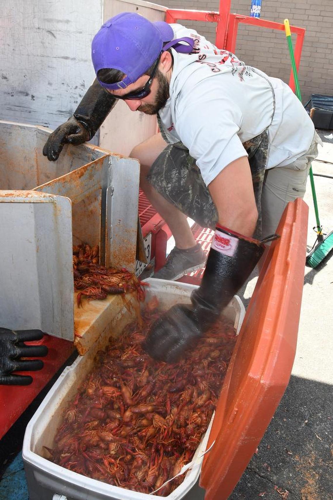 Here, Brian Broussard of Cody’s Crawfish dumps the seasoned crawfish into a cooler where it is taken to the table to be packaged with corn and potatoes and sold.