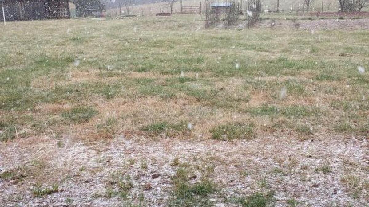 Snow falls on a Pickens County farm.