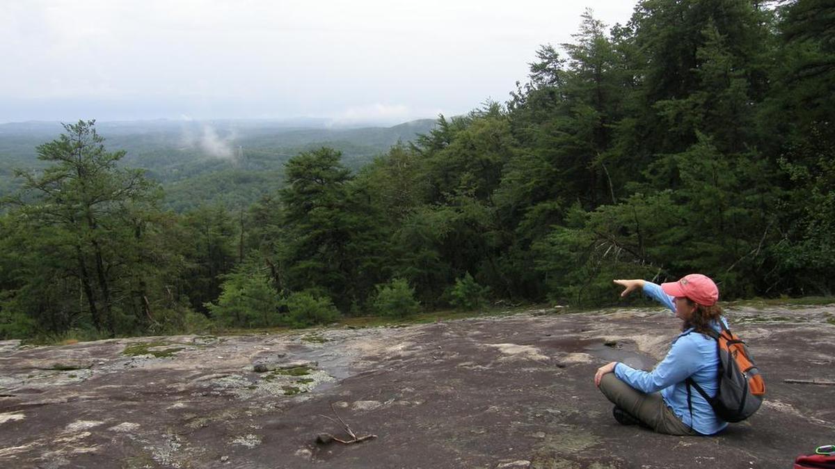 The S.C. Conservation Bank has helped protect land like this in the mountains of Pickens County
