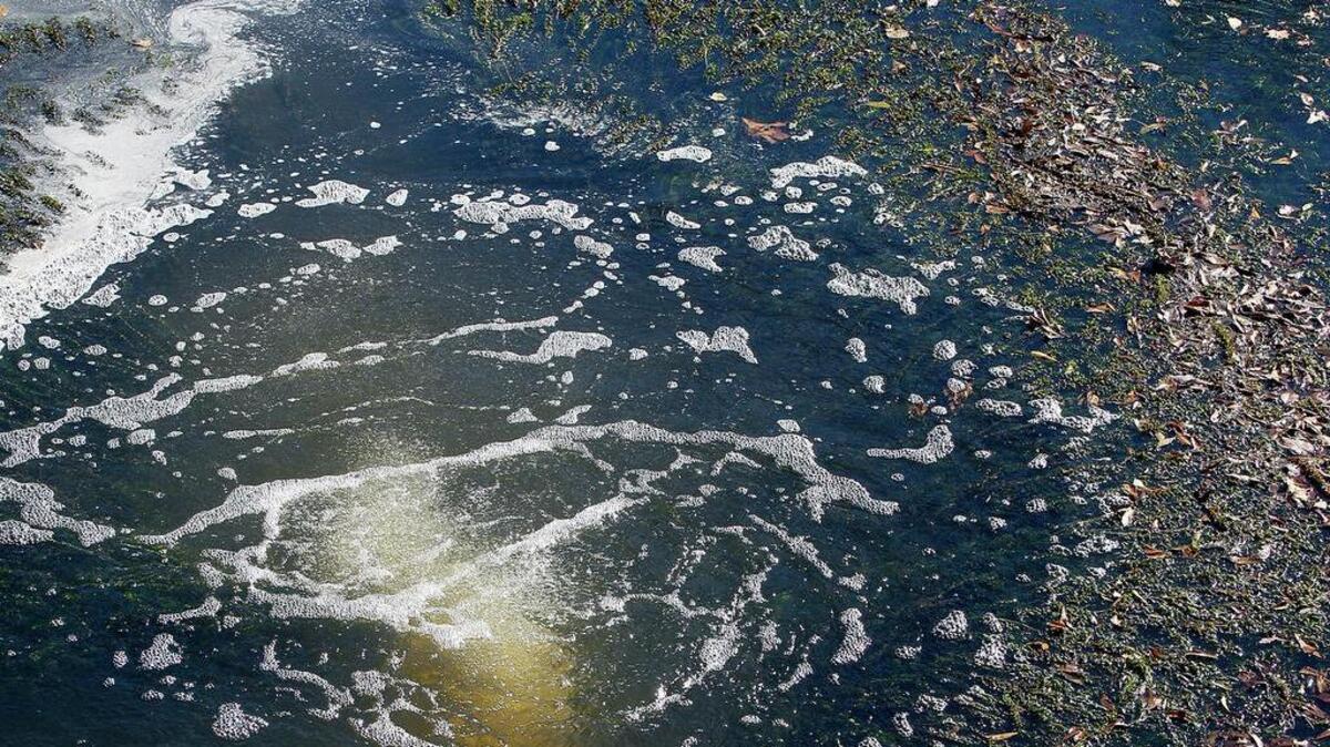 South Carolina's effort to enforce environmental laws hasn't stopped companies and government agencies from repeatedly breaking rules to protect the air, land and water during the past two decades.