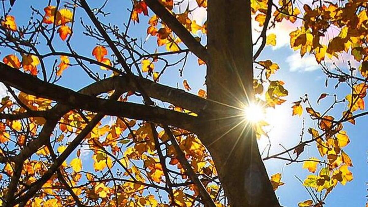 Temperatures are forecast to be more fall-like in the middle of next week.