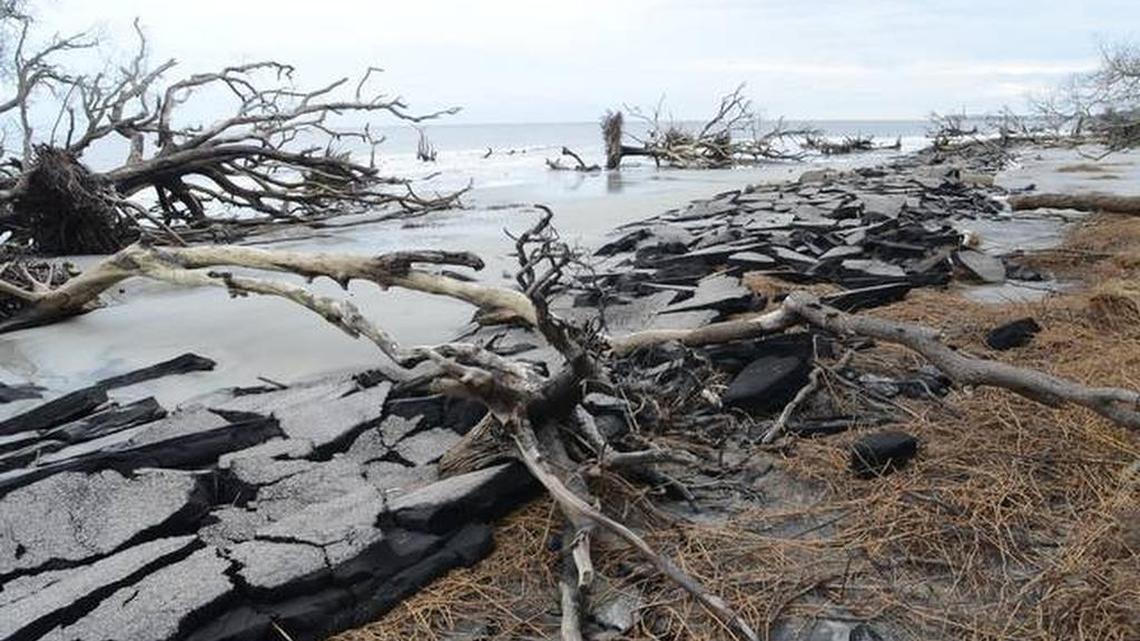 Beach erosion along Cabin Road in Hunting Island State Park.