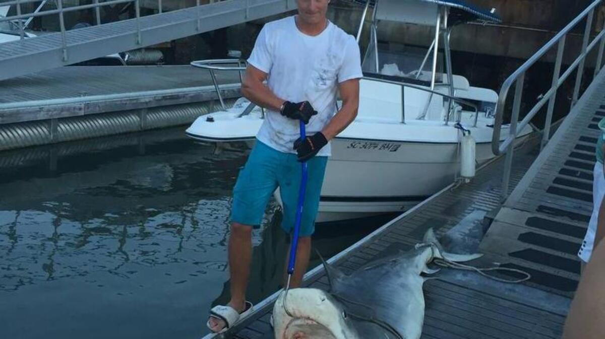 
Ryan Hiers, 19, of Hilton Head Island, stands on the dock at Skull Creek Marina on Sunday, beside a 9-foot tiger shark he and his father, Charles Hiers, caught about eight miles offshore. 
