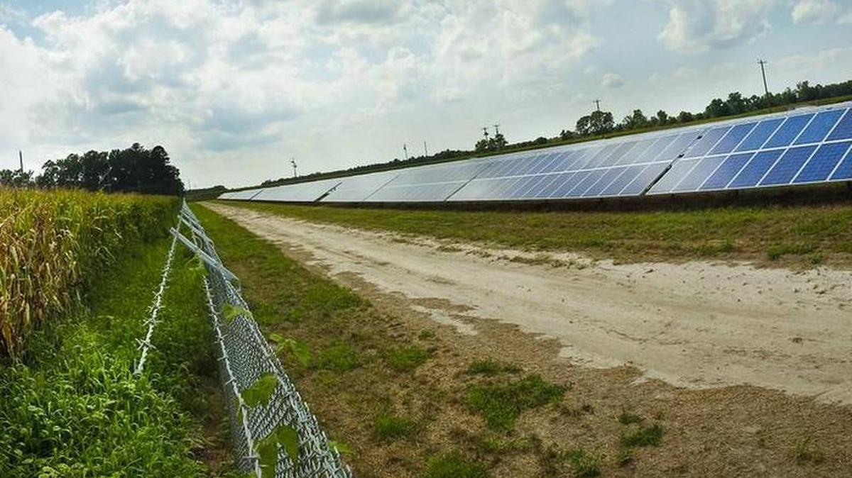 Solar farms, like this one near the South Carolina-North Carolina border, are becoming more common in the Palmetto State