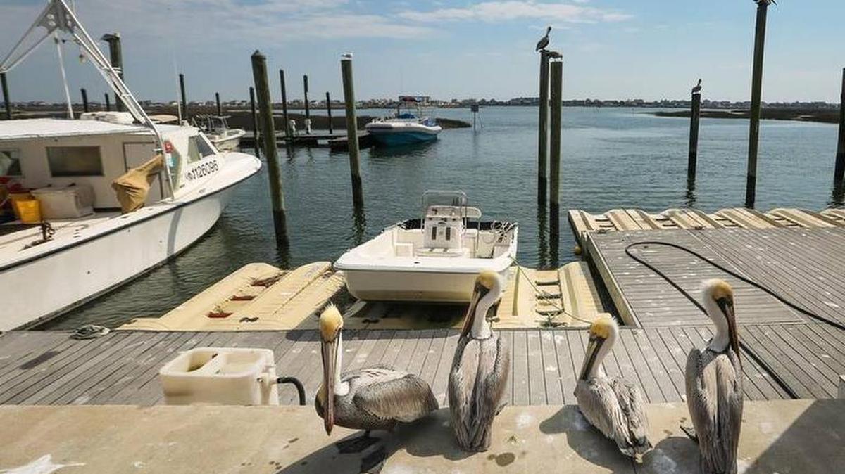 For those who gain their living from the sea, the prospect of the government allowing oil rigs off of Murrells Inlet, Litchfield Beach, Pawleys Island and Georgetown is scary. File photo.