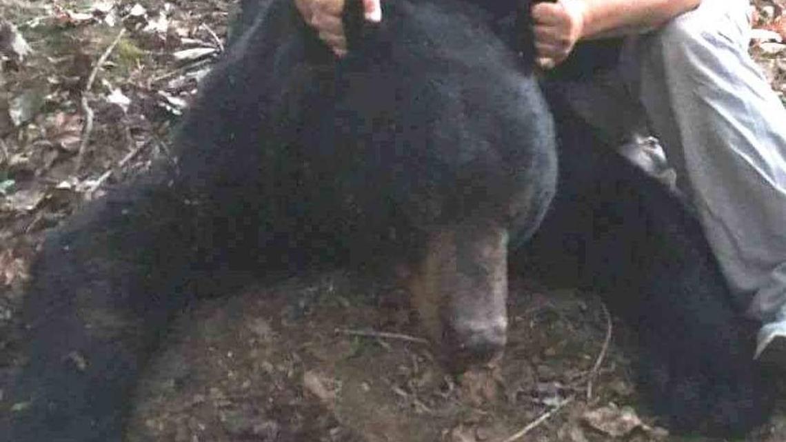This is the second largest bear killed by a hunter in state history, according to the S.C. Department of Natural Resources