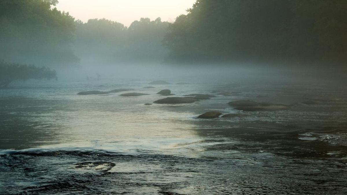 The lower Saluda River in early morning light