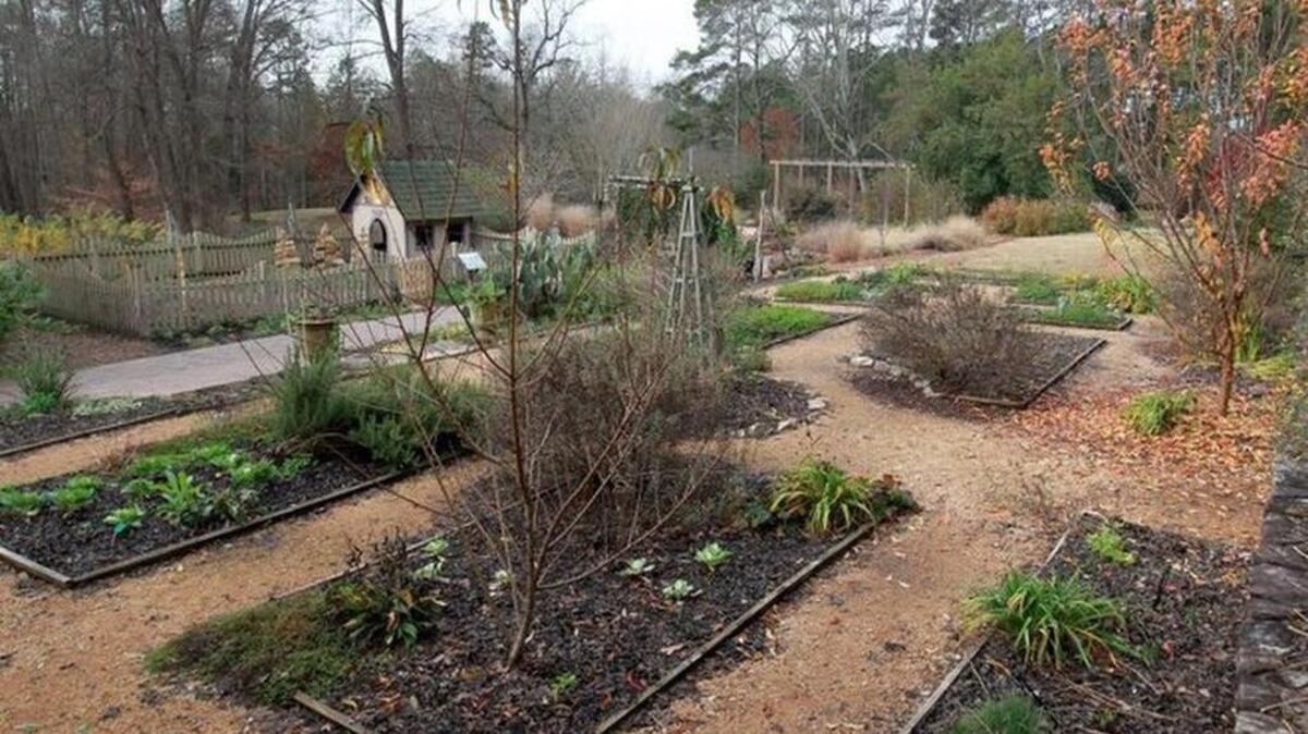 The South Carolina Botanical Garden recently received a donation of $1 million to expand and enhance its Children’s Garden.