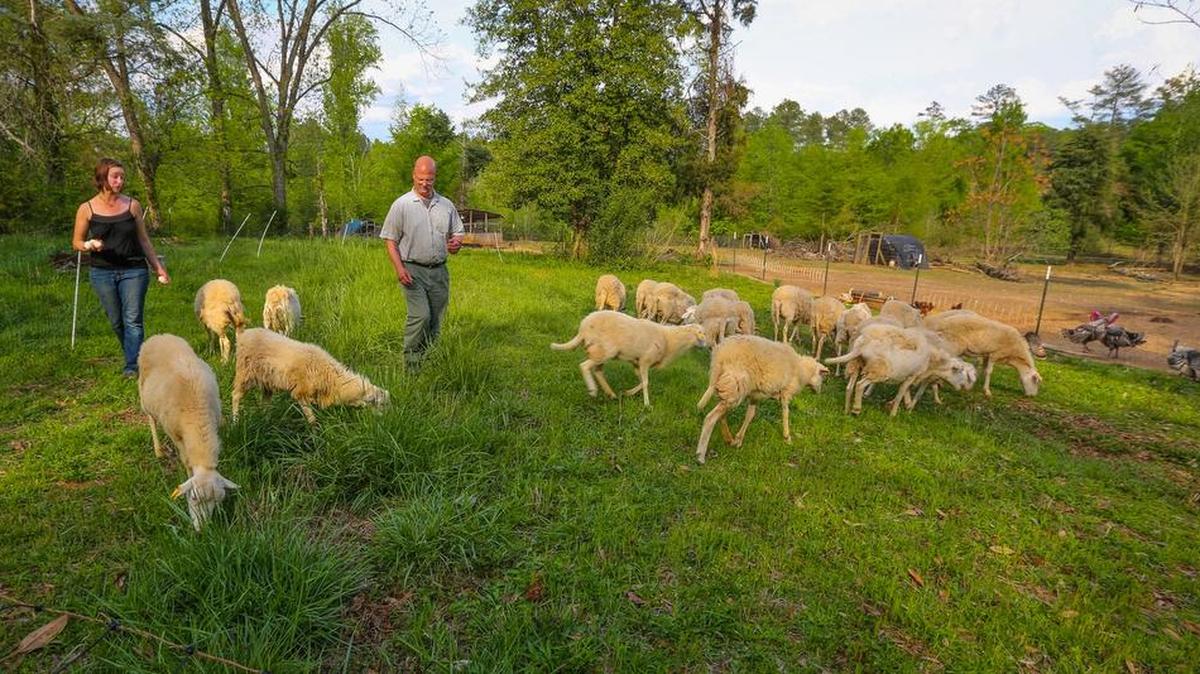 USC environmental health science professor Joe Jones and his wife Amanda operate the 43-acre Doko Farm near Blythewood that specializes in organically raised meat. The 43-acre farm has been in his family since 1839. They are concerned about the rapid growth around Blythewood affecting their rural lifestyle.