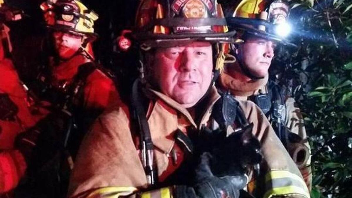 Pets are often rescued from burning homes. This kitten was rescued from a Port Royal apartment fire in 2014